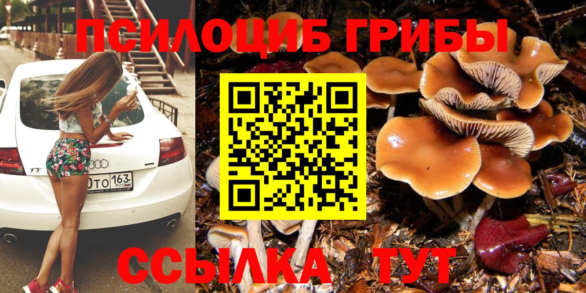 Галлюциногенные грибы ЛСД Бийск