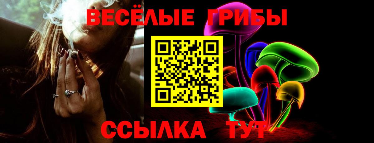 Бийск  Галлюциногенные грибы мицелий  Вход с VPN 